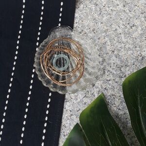 Small Seashell Jewelry Holder Glass Decor Clear